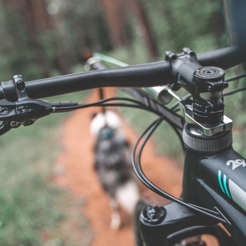 Non-Stop Dogwear Bike Antenna